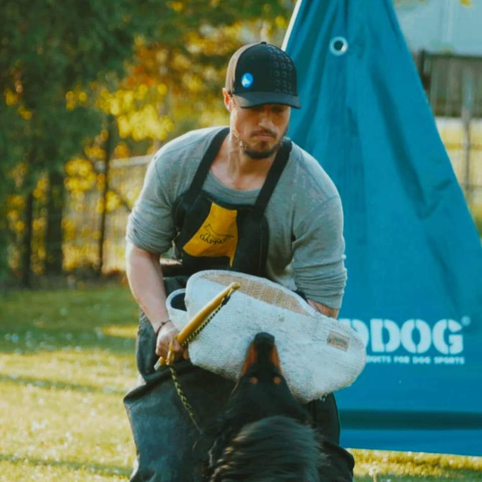 Wenn Beutetrieb nicht reicht – Helfertreiben als alternativer Aufbau im Schutzdienst